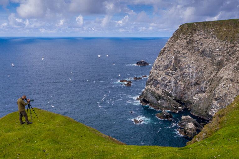 shetland nature tours